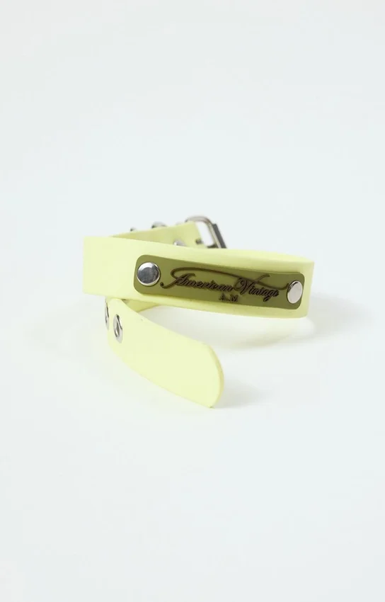 Collier pour chien AMV DOGS Référence : COLLIERCHIENH26