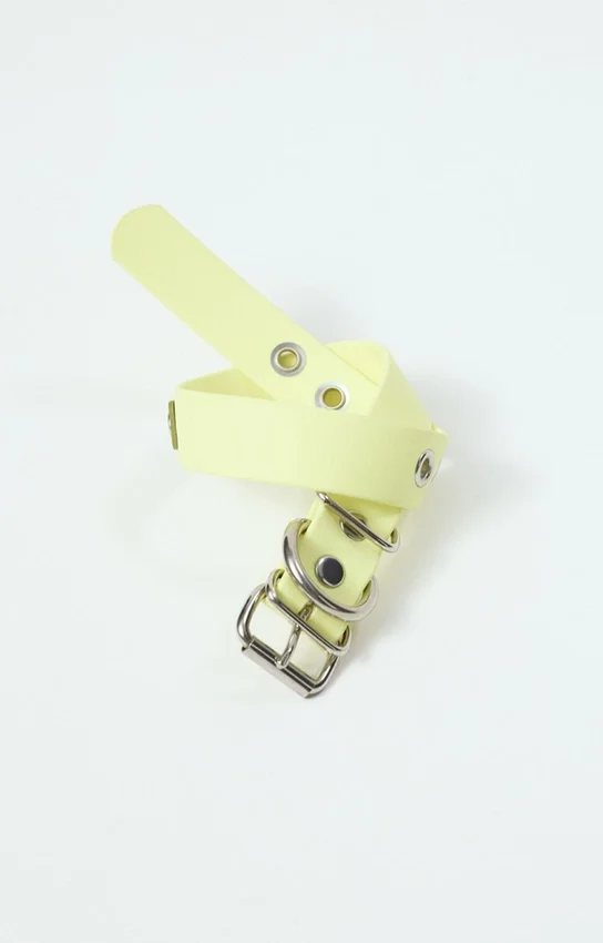 Collier pour chien AMV DOGS Référence : COLLIERCHIENH26