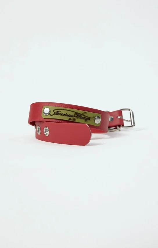 Collier pour chien AMV DOGS Référence : COLLIERCHIENH26