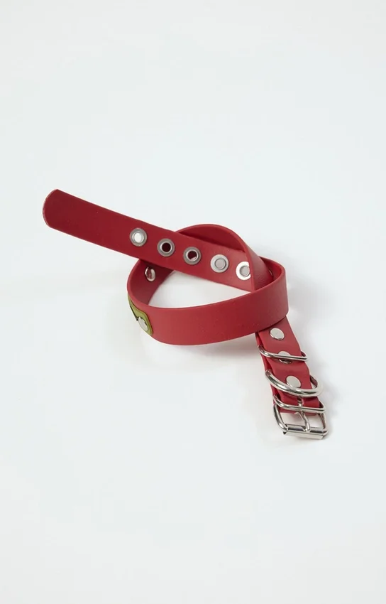 Collier pour chien AMV DOGS Référence : COLLIERCHIENH26