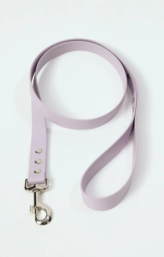Laisse pour chien AMV DOGS Référence : LAISSECHIENH26