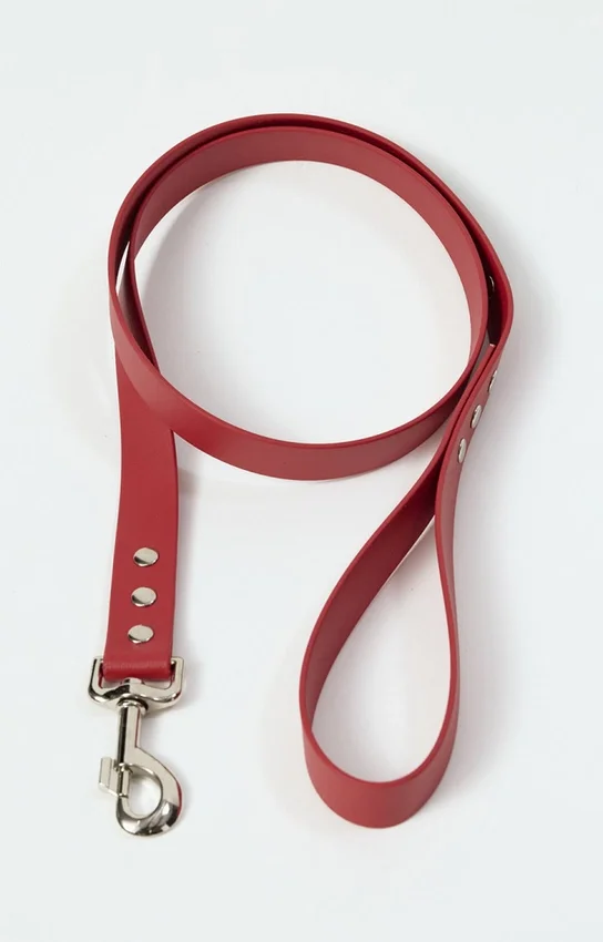 Laisse pour chien AMV DOGS Référence : LAISSECHIENH26
