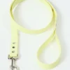 Laisse pour chien AMV DOGS Référence : LAISSECHIENH26