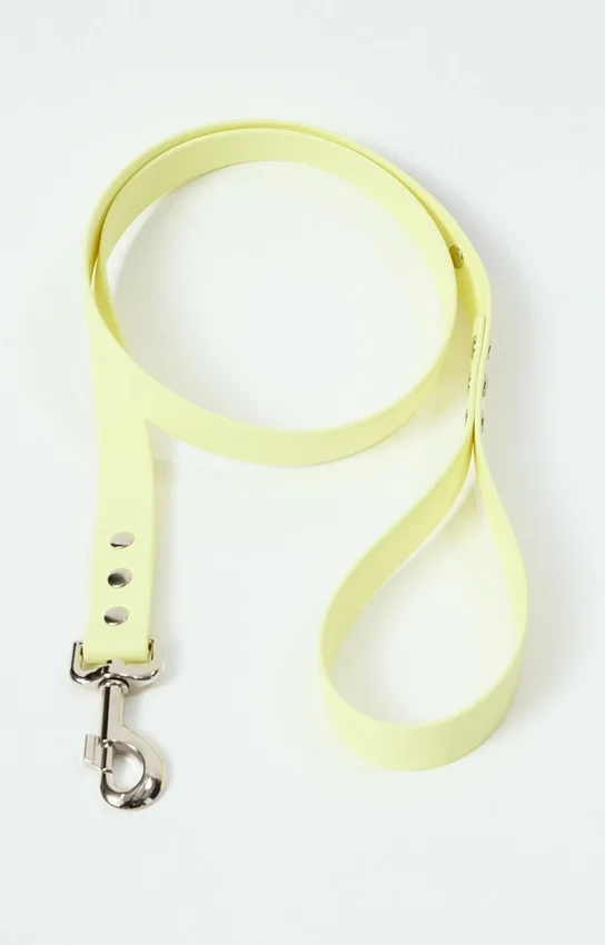 Laisse pour chien AMV DOGS Référence : LAISSECHIENH26