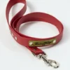 Laisse pour chien AMV DOGS Référence : LAISSECHIENH26