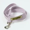 Laisse pour chien AMV DOGS Référence : LAISSECHIENH26