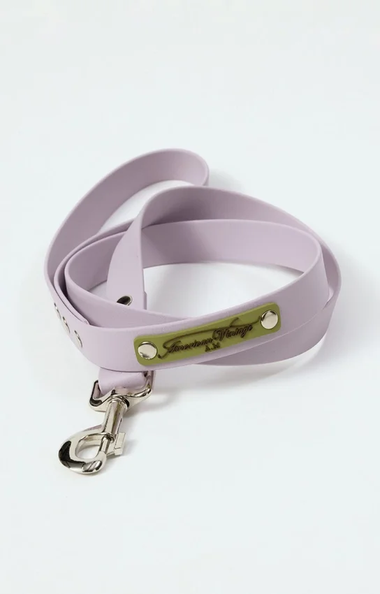 Laisse pour chien AMV DOGS Référence : LAISSECHIENH26