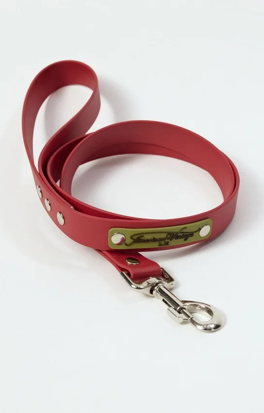 Laisse pour chien AMV DOGS Référence : LAISSECHIENH26