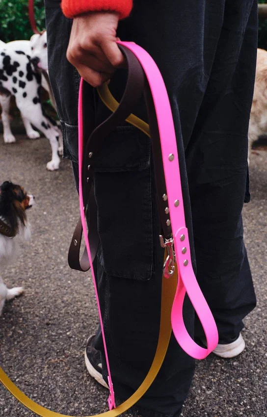Laisse pour chien AMV DOGS Référence : LAISSECHIENH26