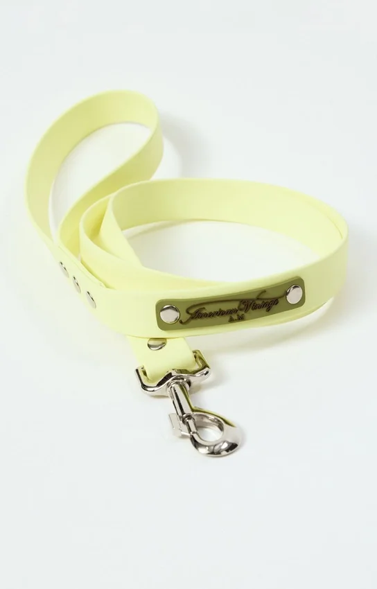 Laisse pour chien AMV DOGS Référence : LAISSECHIENH26
