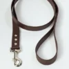 Laisse pour chien AMV DOGS Référence : LAISSECHIENH26