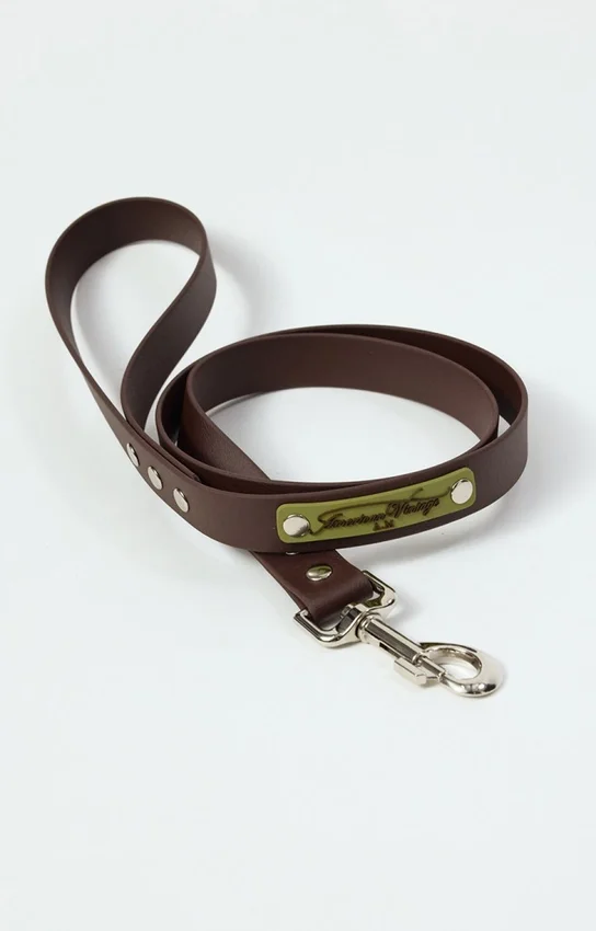 Laisse pour chien AMV DOGS Référence : LAISSECHIENH26