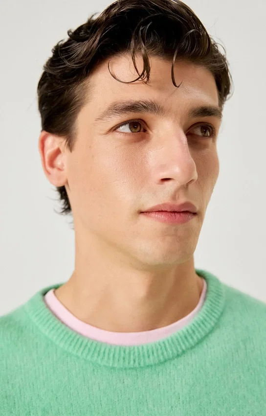 Pull pour homme Vitow Référence : MVITO18AH26