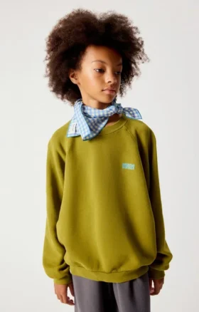 Sweat-shirt enfant Izubird Référence : KIZU03BH26