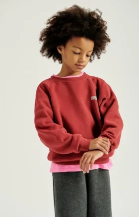 Sweat-shirt enfant Izubird Référence : KIZU03BH26