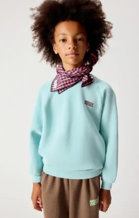 Sweat-shirt enfant Izubird Référence : KIZU03BH26