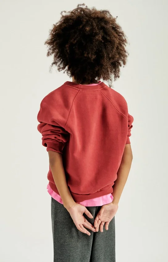 Sweat-shirt enfant Izubird Référence : KIZU03BH26