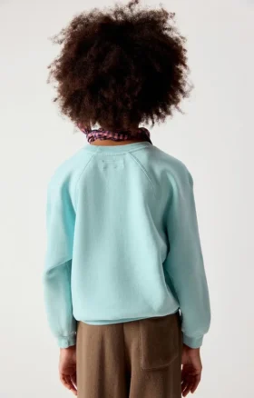 Sweat-shirt enfant Izubird Référence : KIZU03BH26