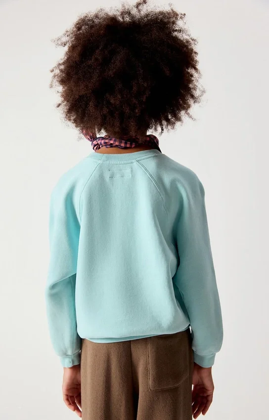 Sweat-shirt enfant Izubird Référence : KIZU03BH26