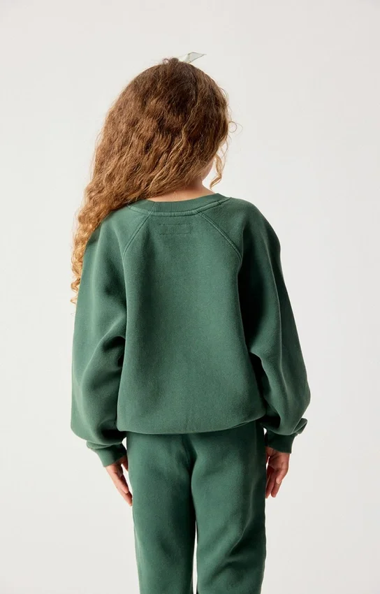 Sweat-shirt enfant Izubird Référence : KIZU03BH26