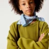 Sweat-shirt enfant Izubird Référence : KIZU03BH26