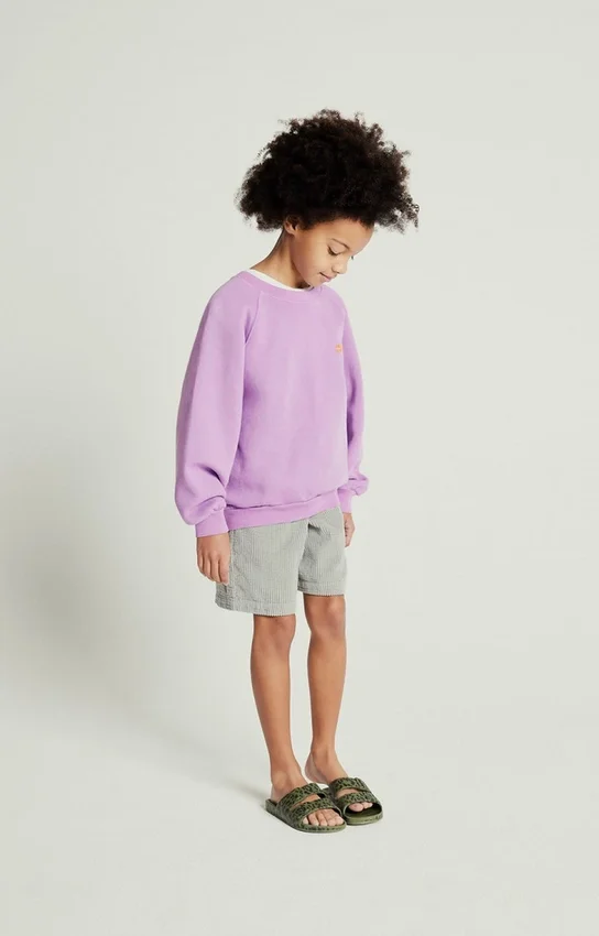 Sweat-shirt enfant Izubird Référence : KIZU03BH26