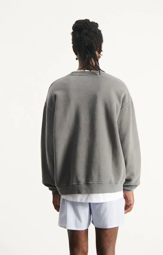 Sweat-shirt pour homme Plizzy Référence : MPLI03BH26