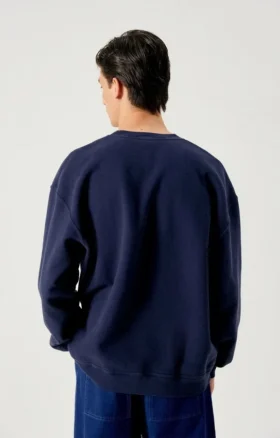 Sweat-shirt pour homme Plizzy Référence : MPLI03BH26