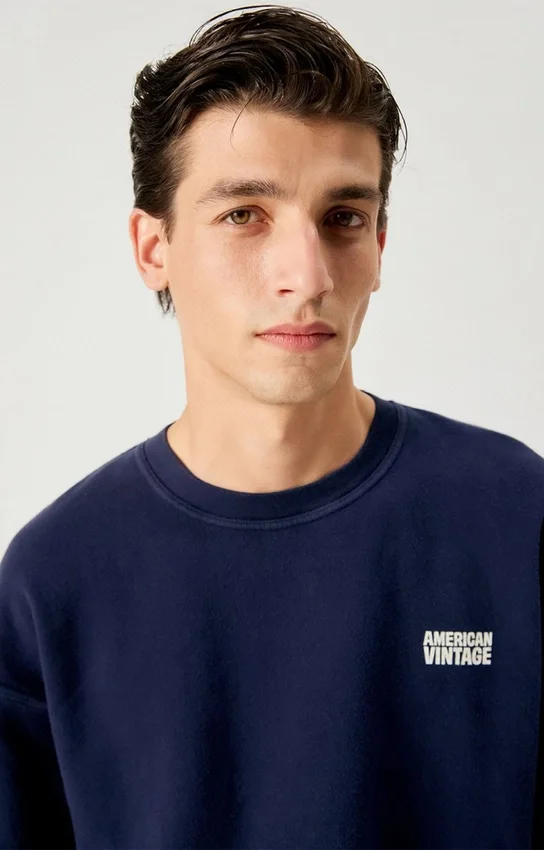 Sweat-shirt pour homme Plizzy Référence : MPLI03BH26