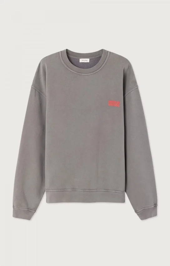 Sweat-shirt pour homme Plizzy Référence : MPLI03BH26