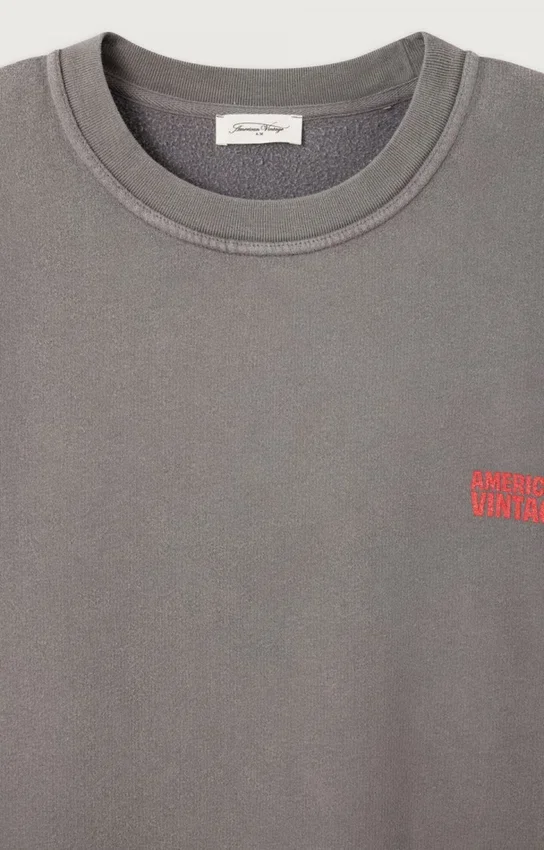 Sweat-shirt pour homme Plizzy Référence : MPLI03BH26