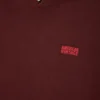Sweat-shirt unisexe Izubird « AMV X Rollercoaster » Référence : IZU03DMKTE26