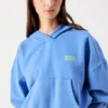 Sweats à capuche pour femme Plizzy Référence : PLI03DH26