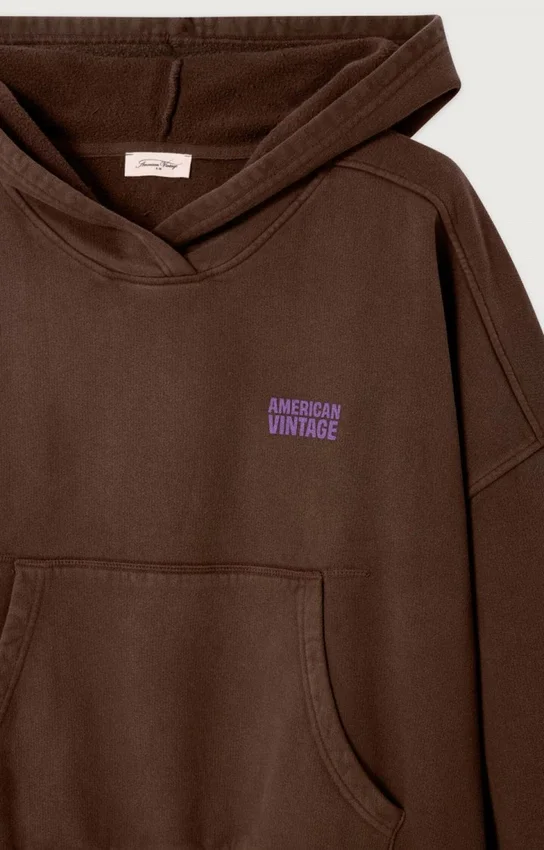 Sweats à capuche pour femme Plizzy Référence : PLI03DH26