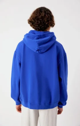 Sweats à capuche pour homme Plizzy Référence : MPLI03CH26