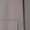 Sweats à capuche pour homme Plizzy Référence : MPLI03CH26